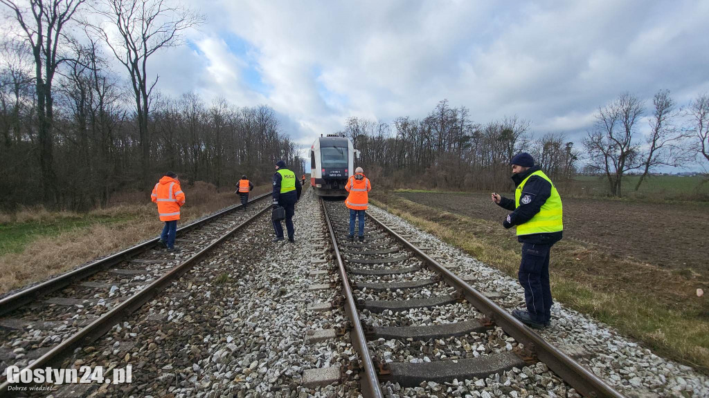 Szynobus uderzył w leżące na torach w drzewo