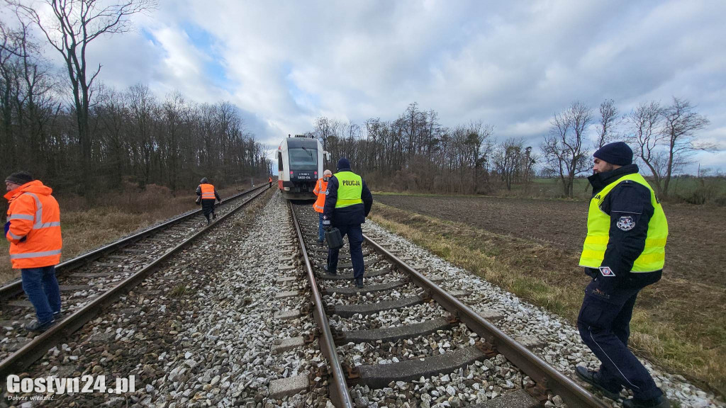 Szynobus uderzył w leżące na torach w drzewo