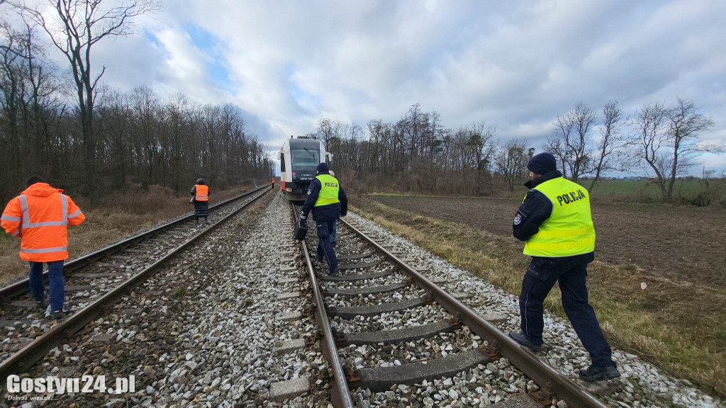 Szynobus uderzył w leżące na torach w drzewo