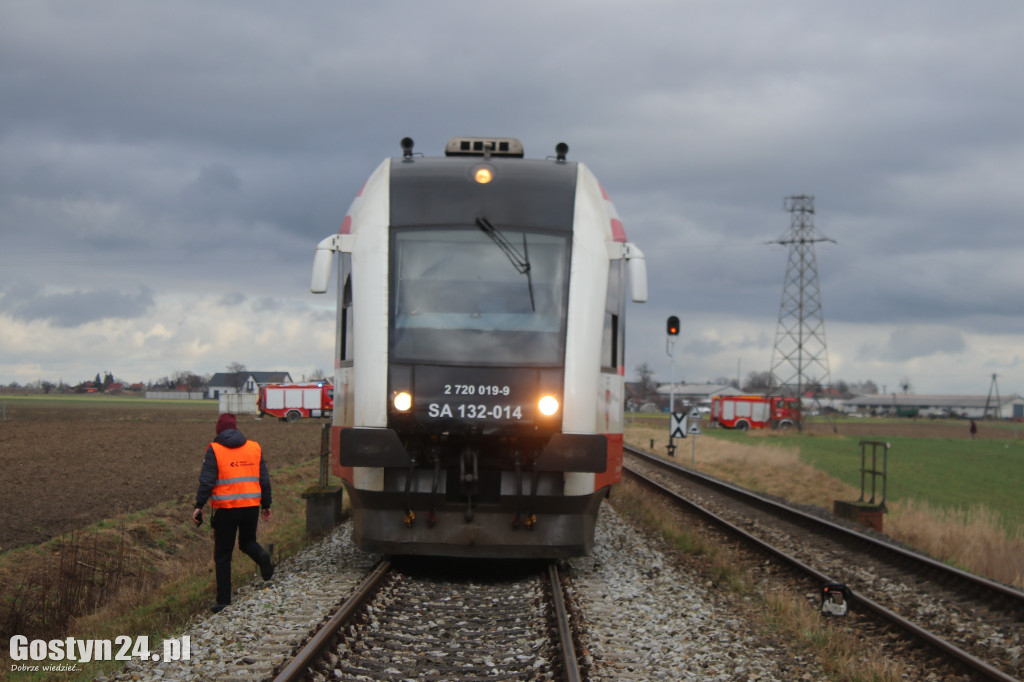 Szynobus uderzył w leżące na torach w drzewo