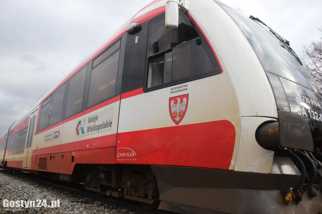 Szynobus uderzył w leżące na torach w drzewo