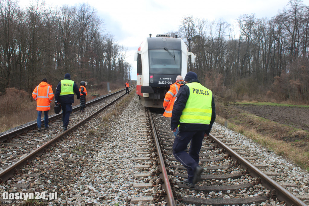 Szynobus uderzył w leżące na torach w drzewo