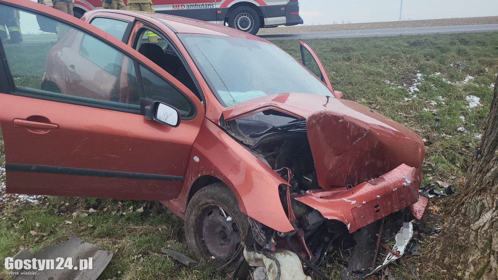 Wypadek na trasie Strzelce Wielkie - Lipie