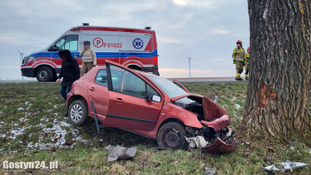 Wypadek na trasie Strzelce Wielkie - Lipie
