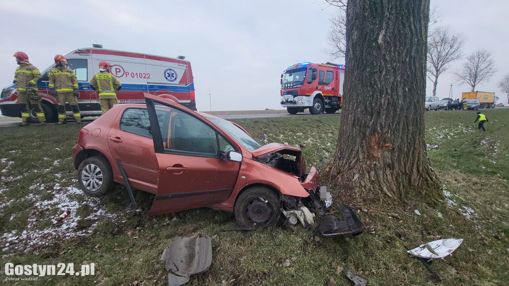 Wypadek na trasie Strzelce Wielkie - Lipie