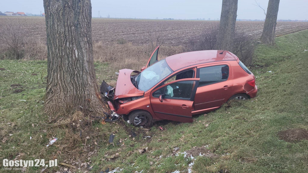 Wypadek na trasie Strzelce Wielkie - Lipie