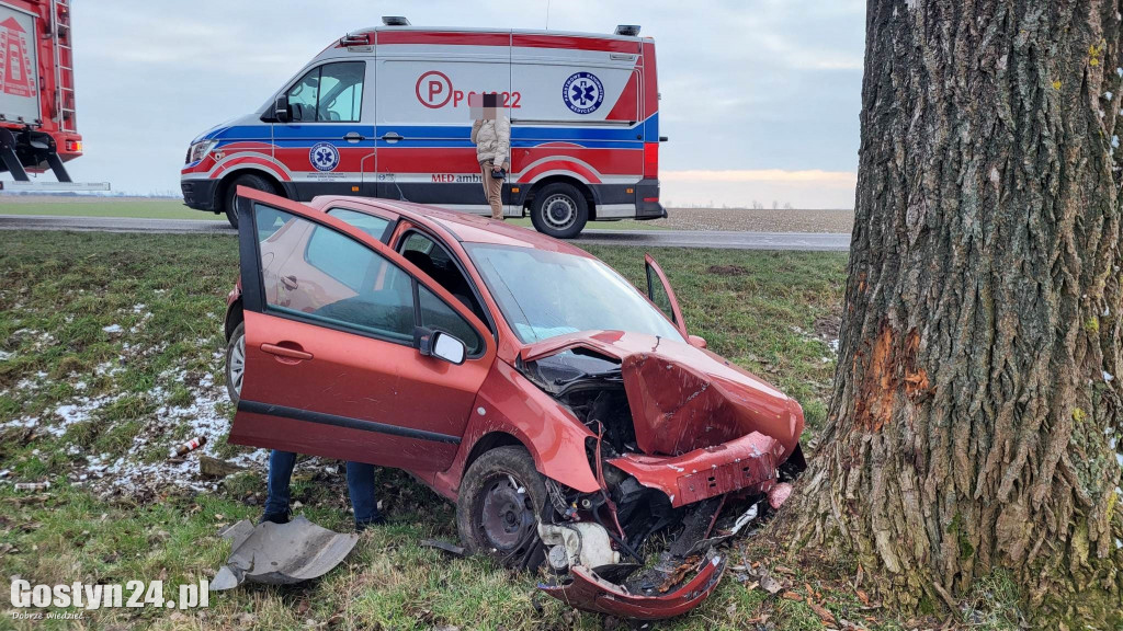 Wypadek na trasie Strzelce Wielkie - Lipie