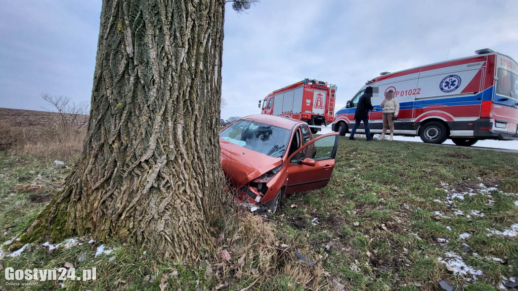 Wypadek na trasie Strzelce Wielkie - Lipie