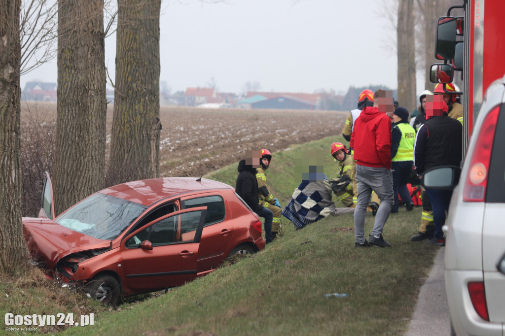 Wypadek na trasie Strzelce Wielkie - Lipie