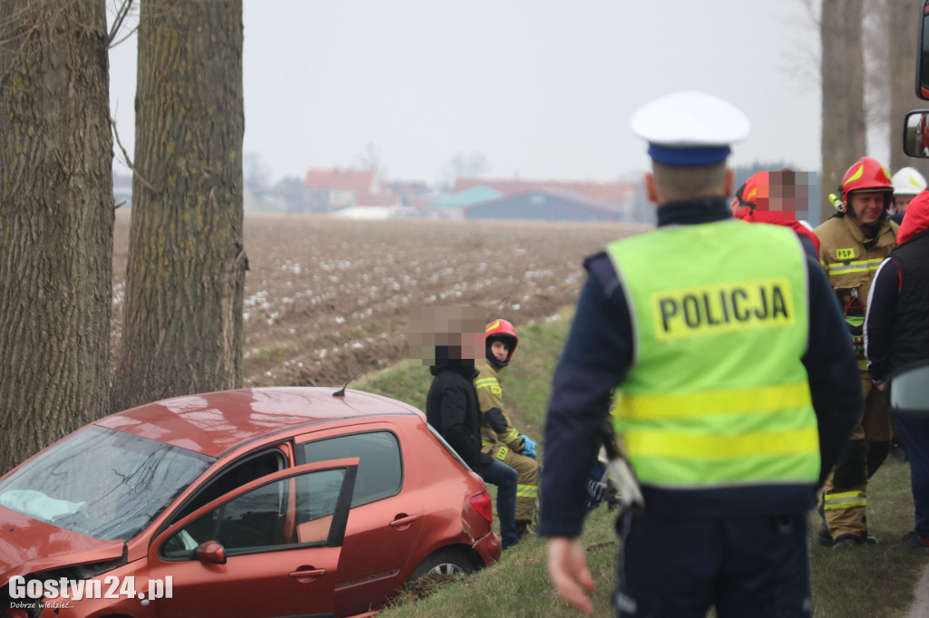 Wypadek na trasie Strzelce Wielkie - Lipie