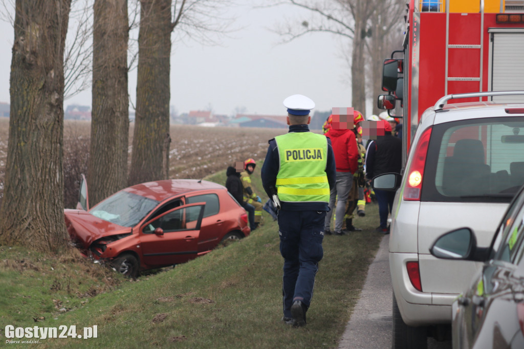Wypadek na trasie Strzelce Wielkie - Lipie