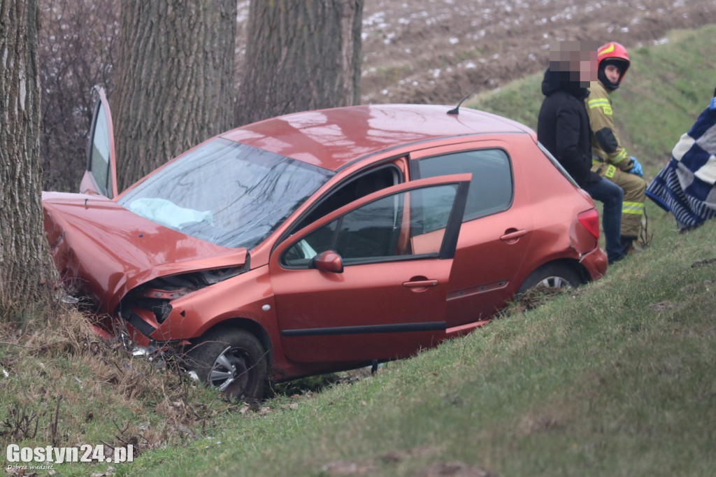 Wypadek na trasie Strzelce Wielkie - Lipie
