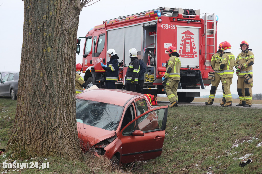 Wypadek na trasie Strzelce Wielkie - Lipie