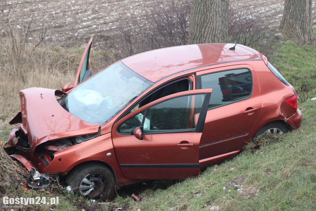 Wypadek na trasie Strzelce Wielkie - Lipie