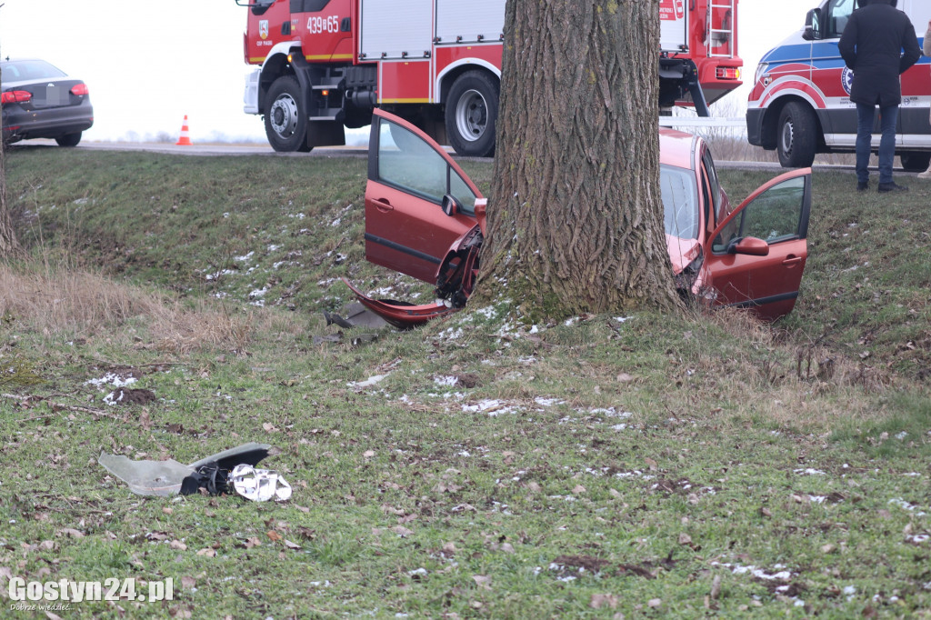 Wypadek na trasie Strzelce Wielkie - Lipie