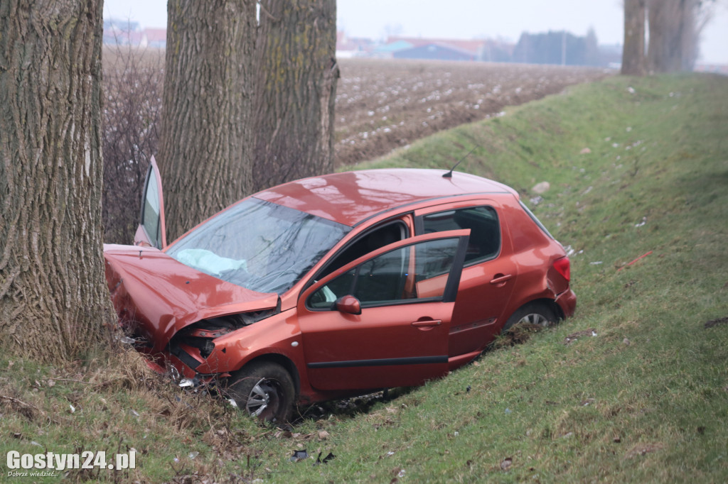 Wypadek na trasie Strzelce Wielkie - Lipie