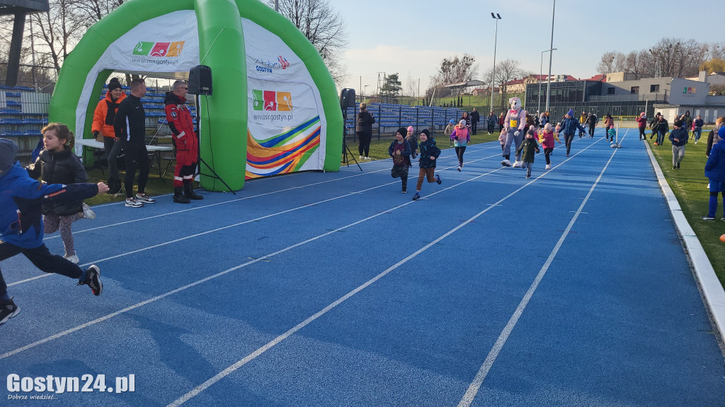 Biega Zająca na gostyńskim stadionie