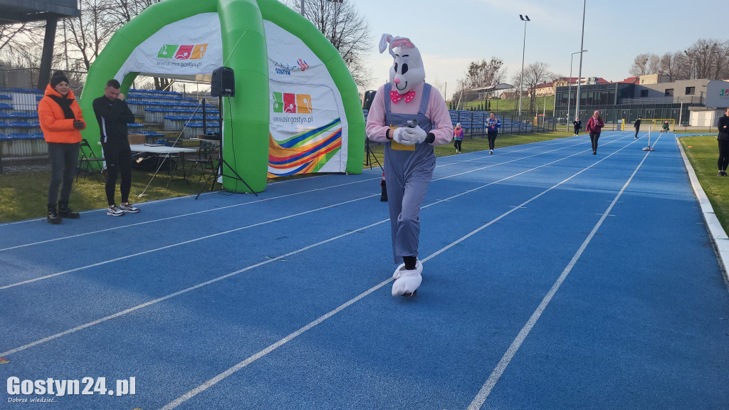 Biega Zająca na gostyńskim stadionie