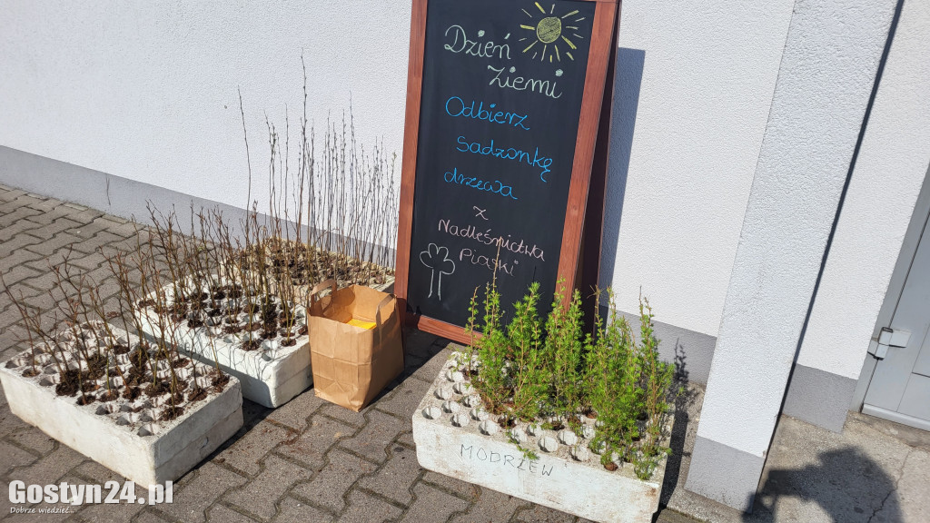 Darmowe sadzonki i akcja sprzątania przy GOK Hutnik