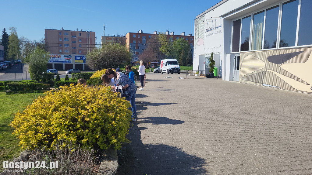 Darmowe sadzonki i akcja sprzątania przy GOK Hutnik