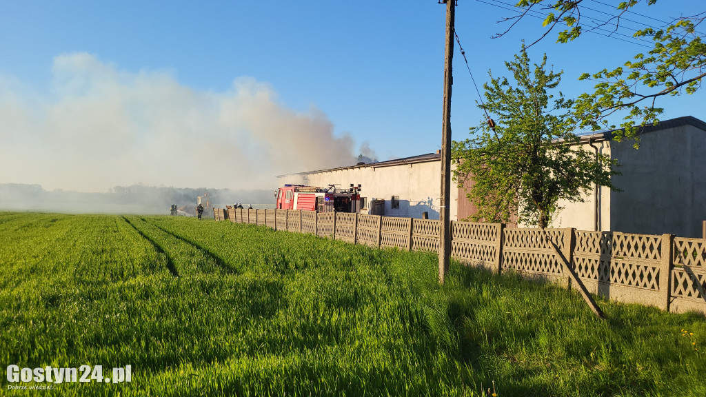 Pożar budynku gospodarczego w Strumianach