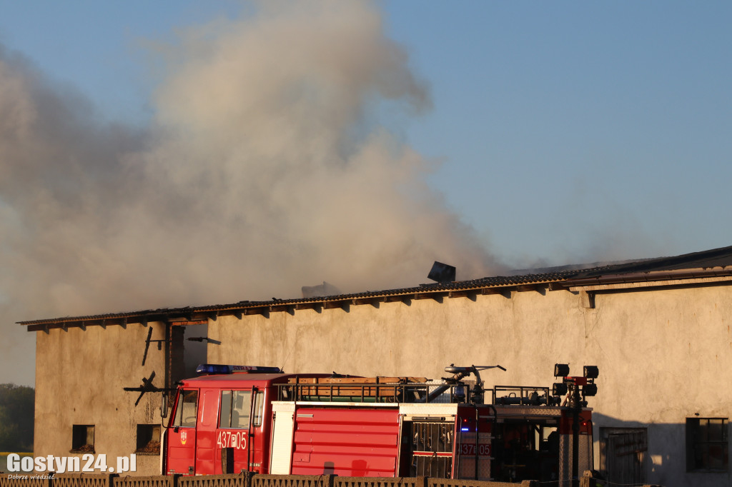 Pożar budynku gospodarczego w Strumianach