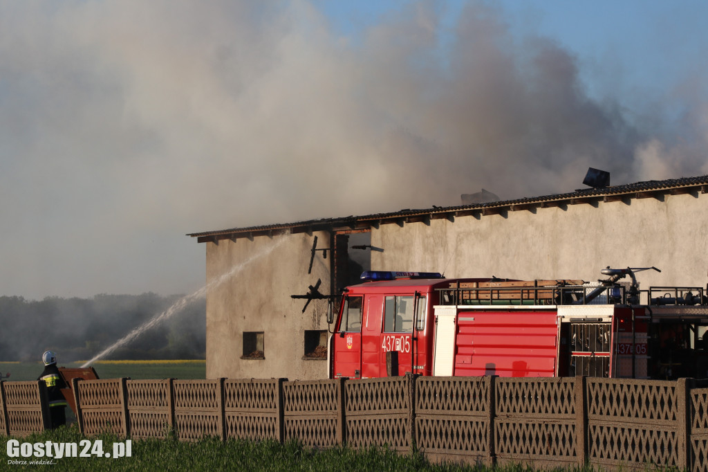 Pożar budynku gospodarczego w Strumianach