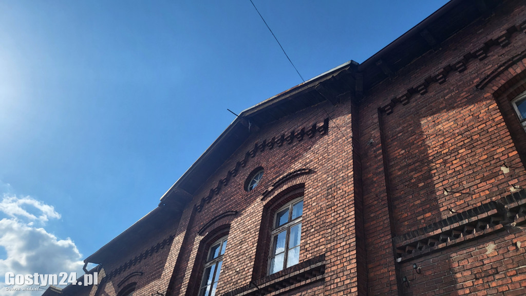 Akcja ratowania gołębia na dworcu kolejowym w Gostyniu