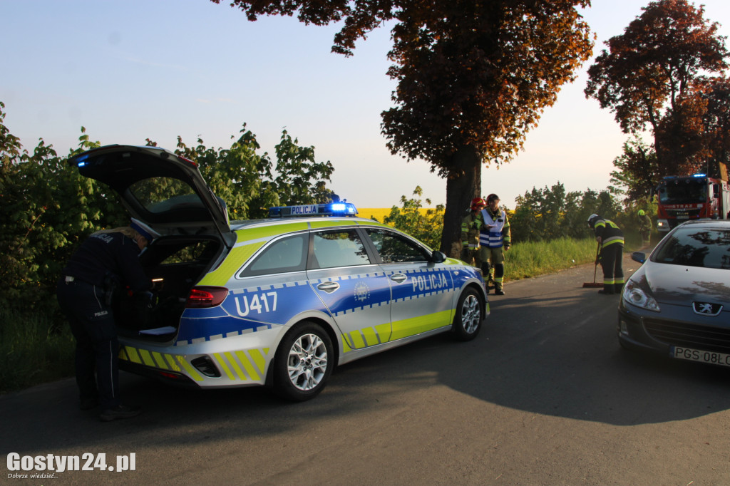 Wypadek na trasie Gogolewo - Niepart