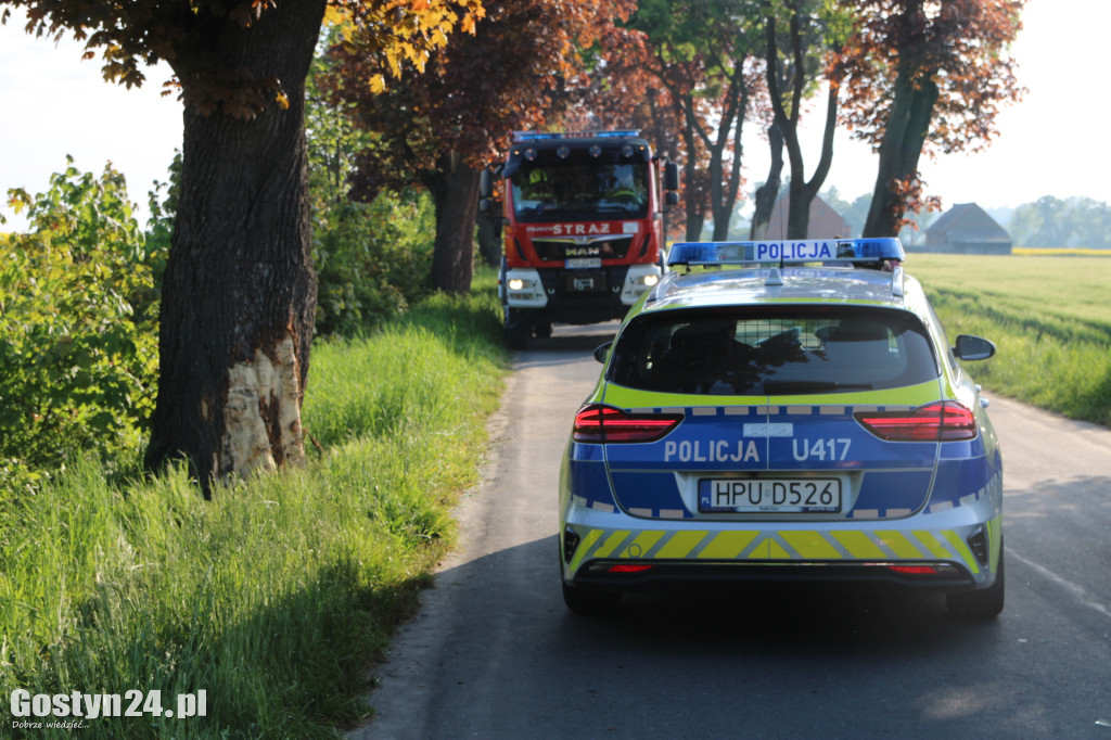 Wypadek na trasie Gogolewo - Niepart