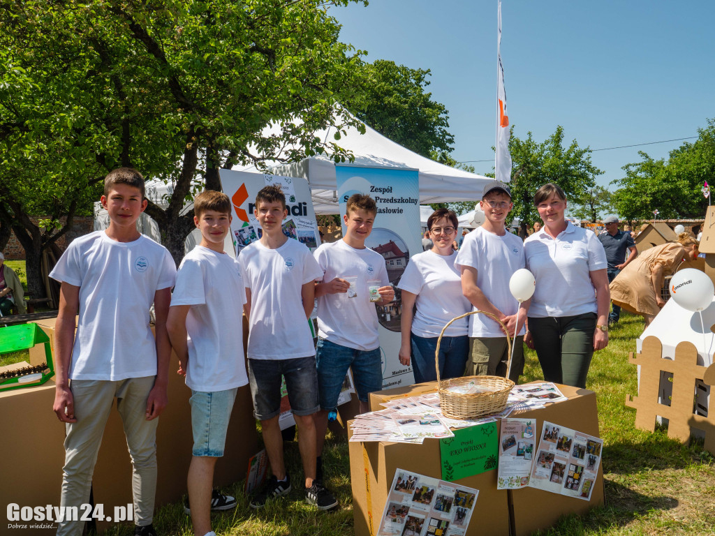 EkoFestyn na Świętej Górze