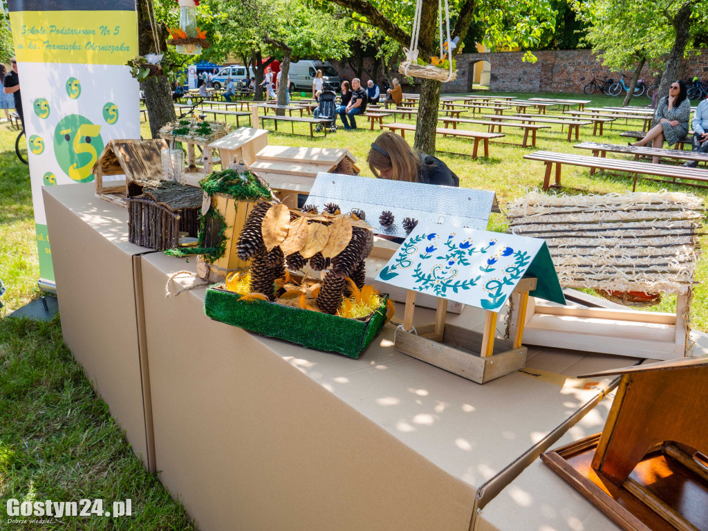 EkoFestyn na Świętej Górze