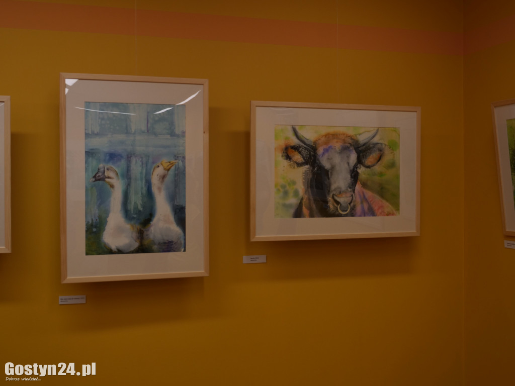 Wystawa Marty Ciućka w gostyńskim muzeum
