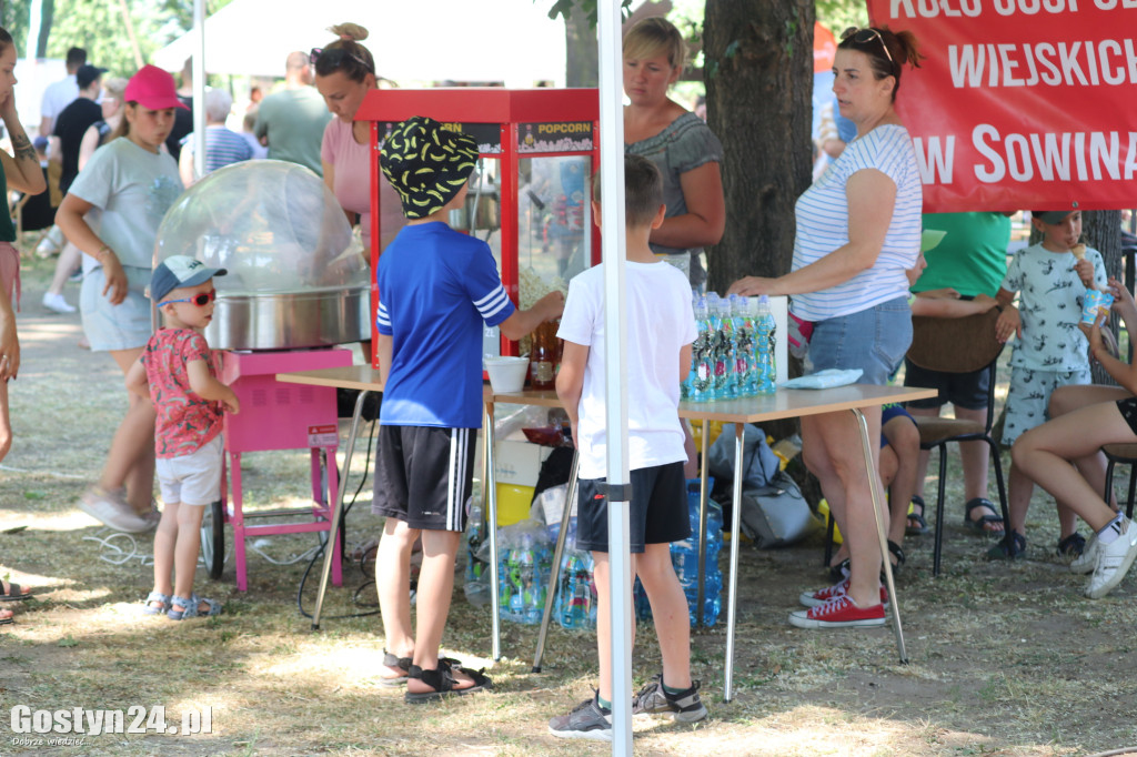 Dzień Wiatru w parku miejskim w Poniecu