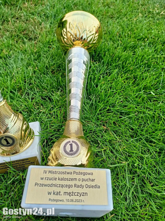 12. Piknik Osiedlowy na gostyńskim Pożegowie