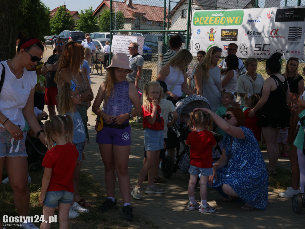 Festyn i charytatywna zbiórka w Michałowie