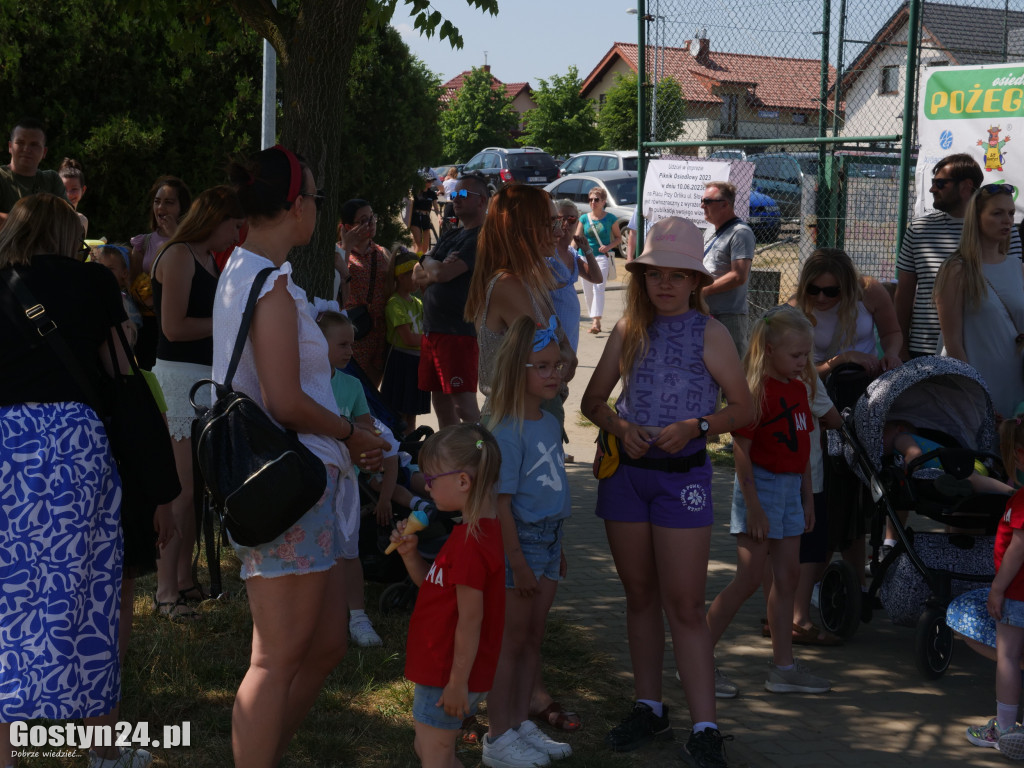 Festyn i charytatywna zbiórka w Michałowie
