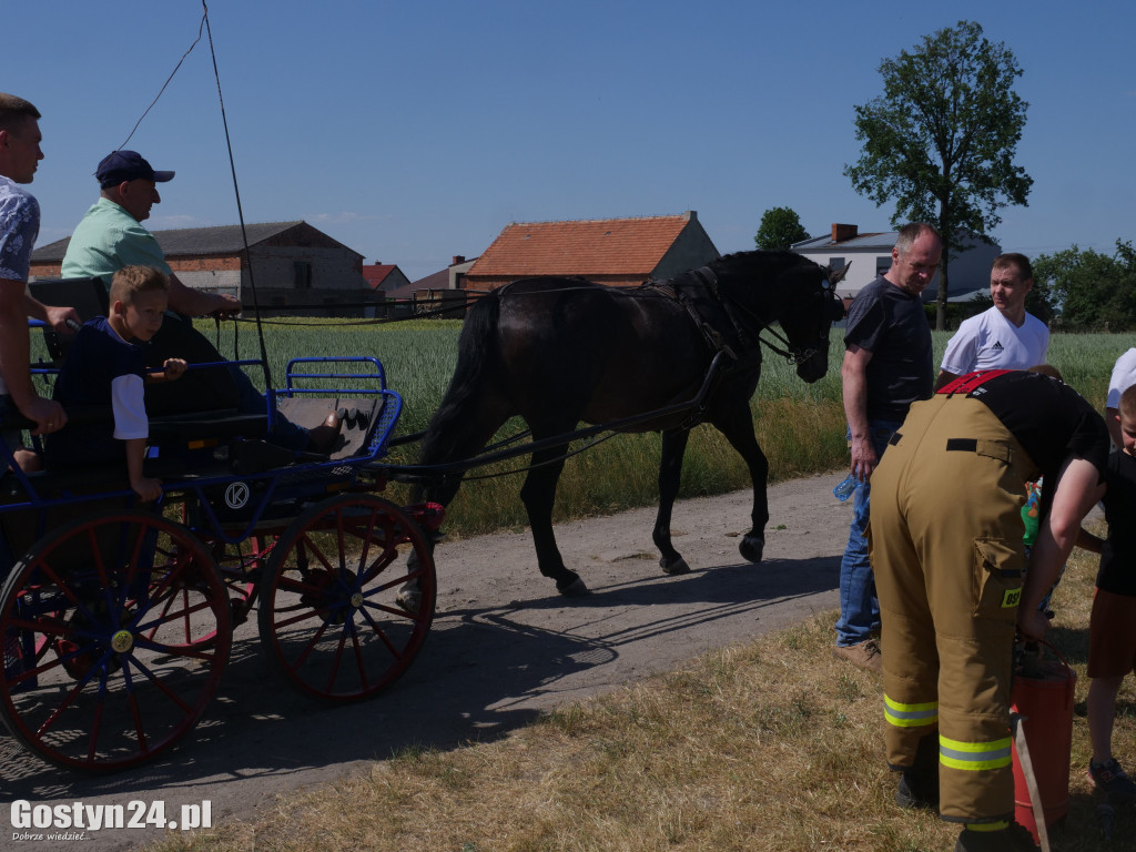 Festyn i charytatywna zbiórka w Michałowie