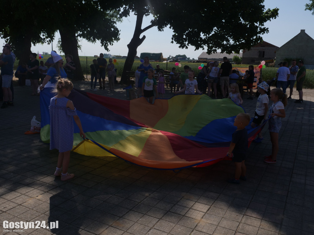 Festyn i charytatywna zbiórka w Michałowie