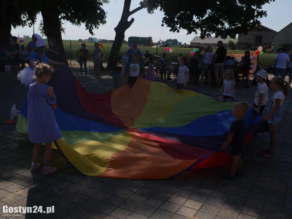 Festyn i charytatywna zbiórka w Michałowie