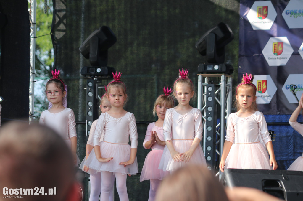 Za nami druga odsłona Dni Ziemi Pępowskiej
