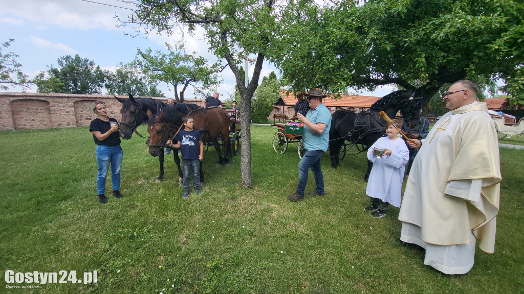 II Pielgrzymka Konna i Zaprzęgów Konnych na Świętą Górę