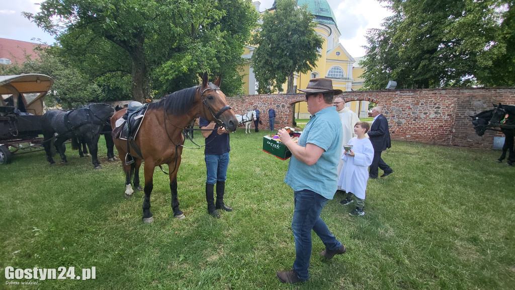 II Pielgrzymka Konna i Zaprzęgów Konnych na Świętą Górę