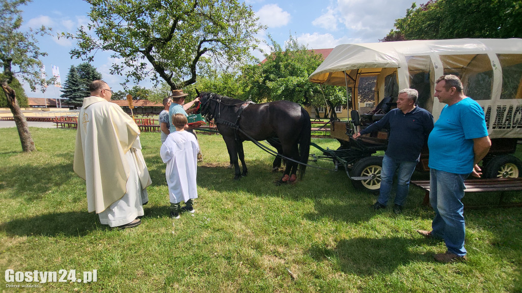 II Pielgrzymka Konna i Zaprzęgów Konnych na Świętą Górę