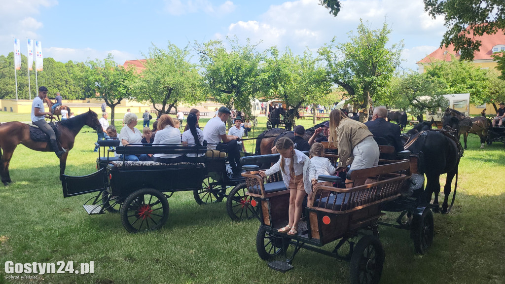 II Pielgrzymka Konna i Zaprzęgów Konnych na Świętą Górę