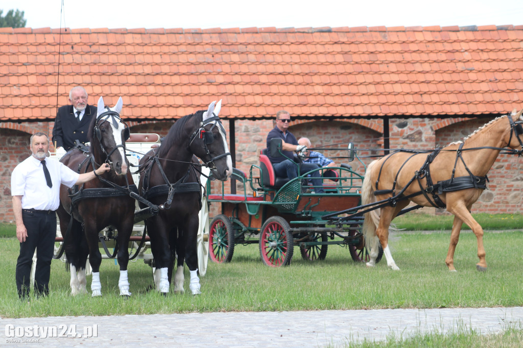 II Pielgrzymka Konna i Zaprzęgów Konnych na Świętą Górę