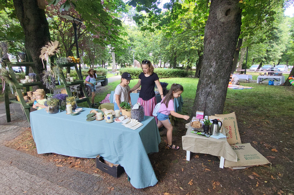 Kulturalny Piknik w gostyńskich plantach