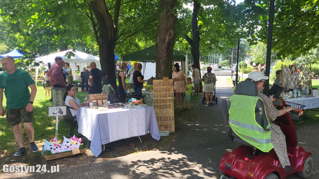 Kulturalny Piknik w gostyńskich plantach