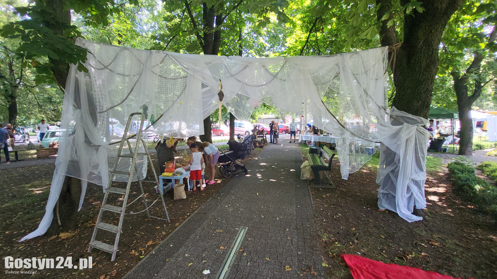Kulturalny Piknik w gostyńskich plantach