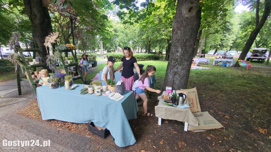 Kulturalny Piknik w gostyńskich plantach